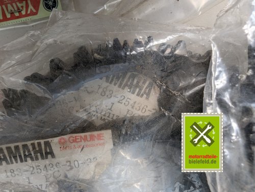 PXL_20240523_133541897